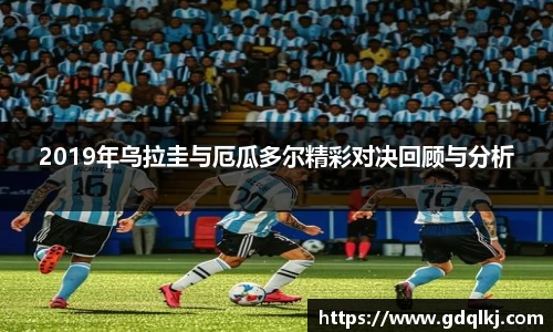 B体育bsports