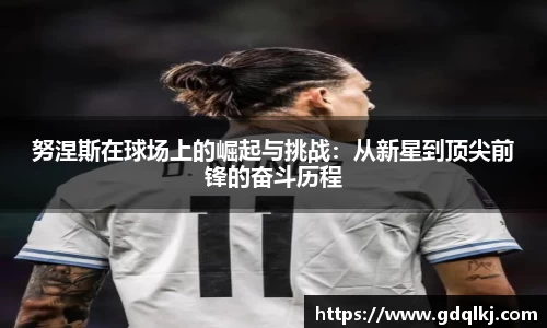 B体育bsports