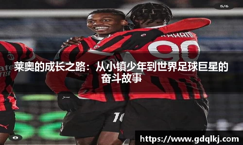 B体育bsports