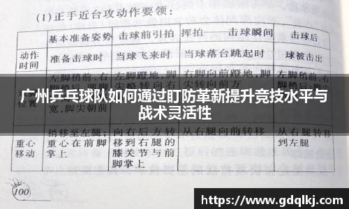 bsports官网入口