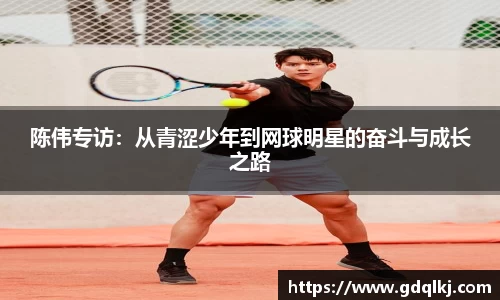 bsports官网入口
